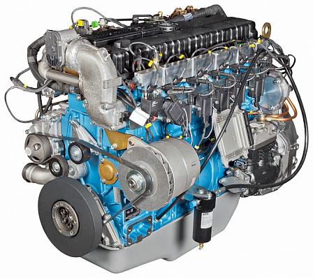 https://www.ymzdiesel.ru/images/ymz/euro-5/yamz-53624/yamz-53624.jpg